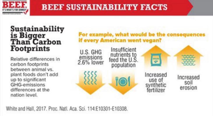 Sustainable food system: Would less beef be better?