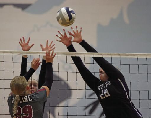 Eagles outlast Bulls in five sets