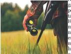Dove hunting season opens Friday, September 1 in Nebraska