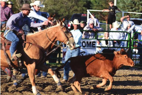 Gosper County Fair 2022