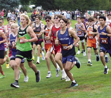 XC teams converge on Cambridge