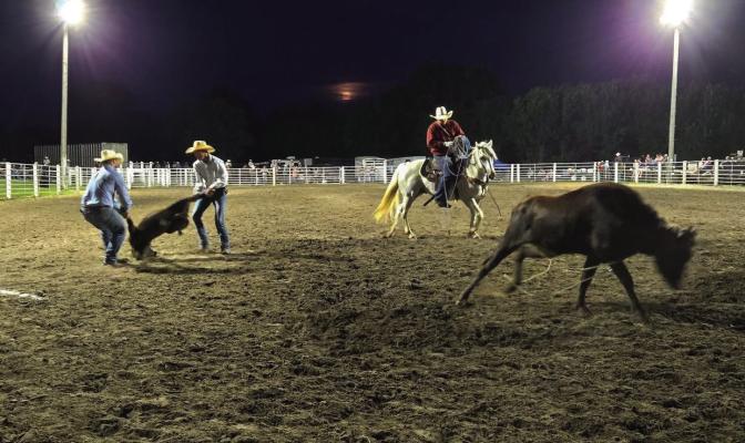 A week of fun at the Eustis Fair & Corn Show