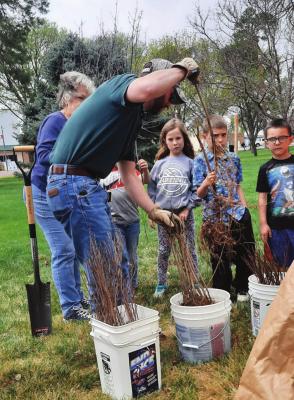 A Time to Plant