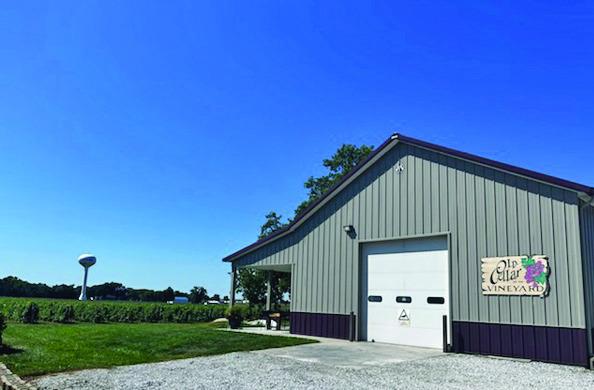 The Old Cellar Vineyard in Arapahoe that produces more than 90 tons of grapes annually now has a tasting room to sample or purchase wines made from those grapes.