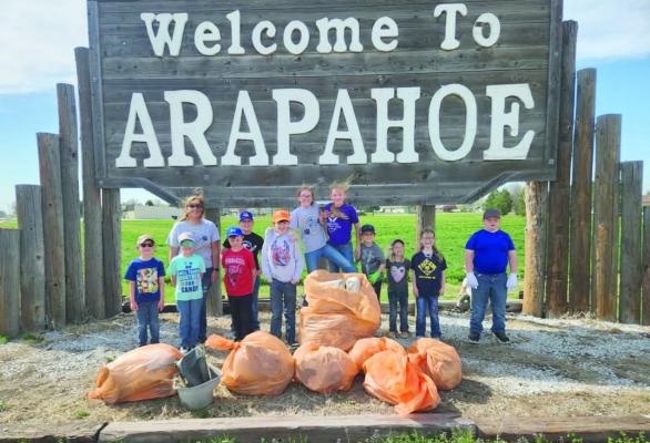 Scouts clean up project