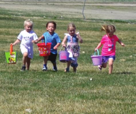 Going on an Egg Hunt