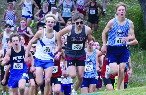 Eleven compete at State Cross Country