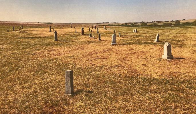 Revitalizing Homerville Cemetery
