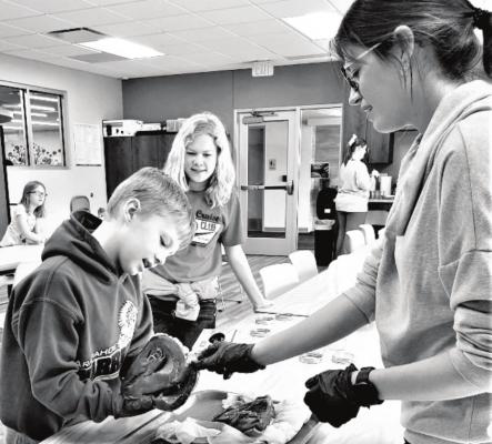 Extension Mad Science Session