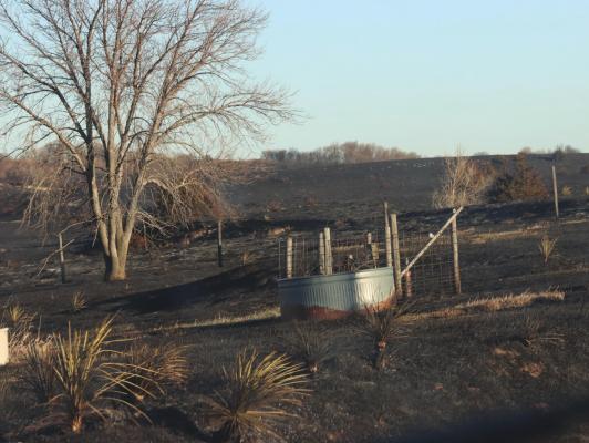Long Uncertain road Back to recovery for Area Farmers and ranchers