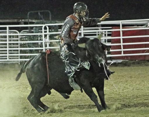 All Kinds of Fun at Furnas County Fair
