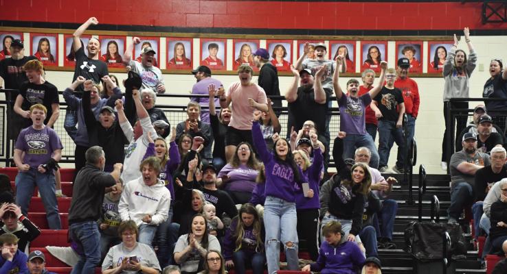 Southern Valley fans celebrate a State berth for Gabe Grove.