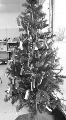 Giving Tree up in Oxford