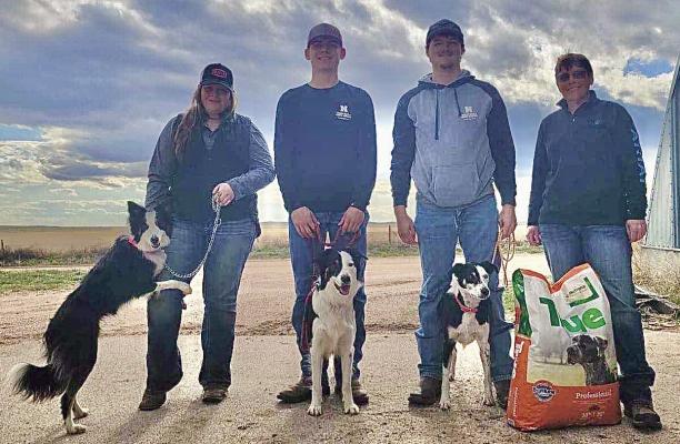 NCTA Stock Dog Team members Kira Piefer of Etters, PA and Brooke Jensen of Sanborn, MN competed recently at the Heartstrong Classic in Yuma, Colorado.
