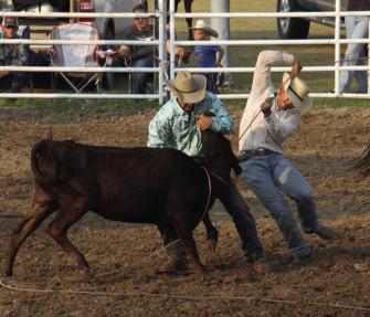 Ten teams competed in the Ranch Rodeo at the Frontier County Fair.