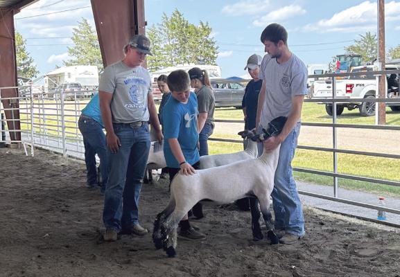 4-H Volunteers appreciated