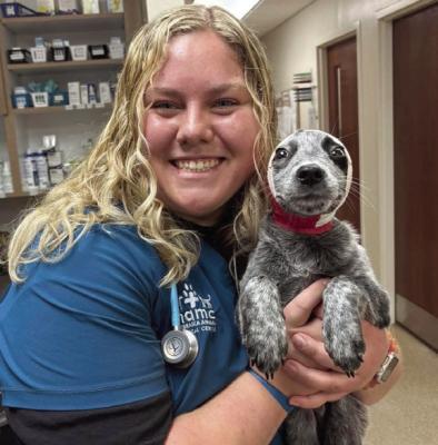 From Curtis to Veterinary School: NCTA Alum Allison Lofton builds a future one step at a time