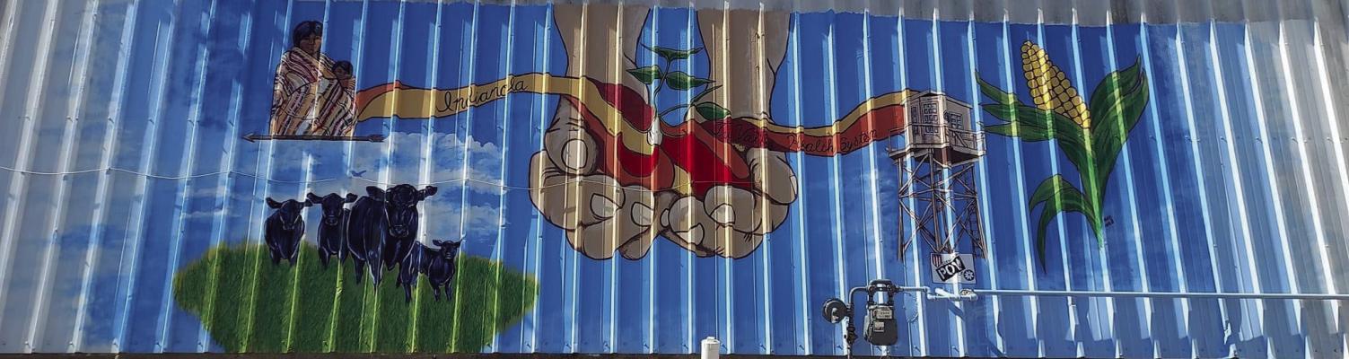 Murals Reviving Area Landscapes and Bringing Communities Together
