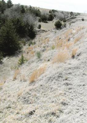 Wild Cat Canyon
