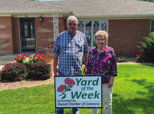 Elwood Chamber of Commerce Yard of the Week winner for August 16 was Bob and Phyllis Remmenga! Your yard looks fantastic!