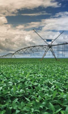 A field in the Lower Republican District of Nebraska.