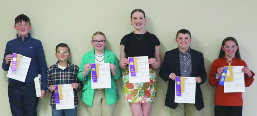 4-H Public Speaking - Intermediate Division