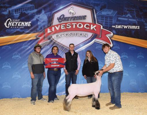 Eidos Klein, age 15 of Maywood, exhibited the third-place overall breeding ewe at the Cheyenne Livestock Exposition this past weekend. Klein’s ewe was also the all other breeds champion at the exposition.