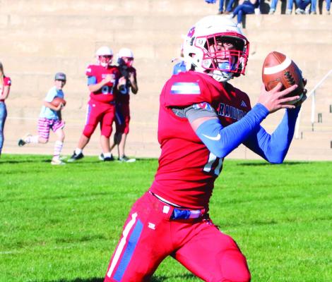 Raiders roll Tigers for win on Homecoming