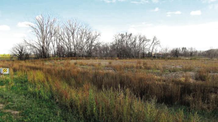 The Forgotten Settlement of Shippee