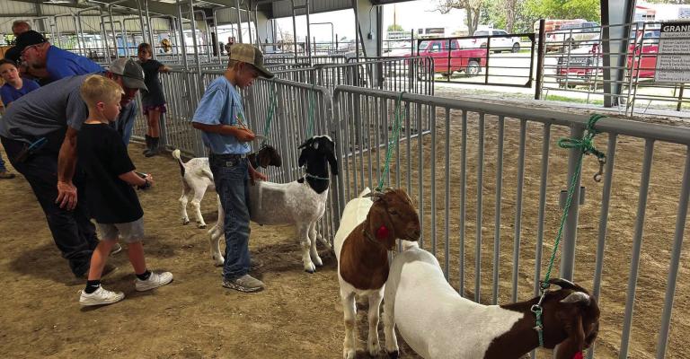 Furnas County Fair celebrates 4-H, family and fun