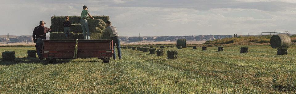 Free Farm & Ranch Succession Workshops offered march 11
