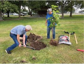 Trees planted in Farnam thanks to the ten Free trees Program