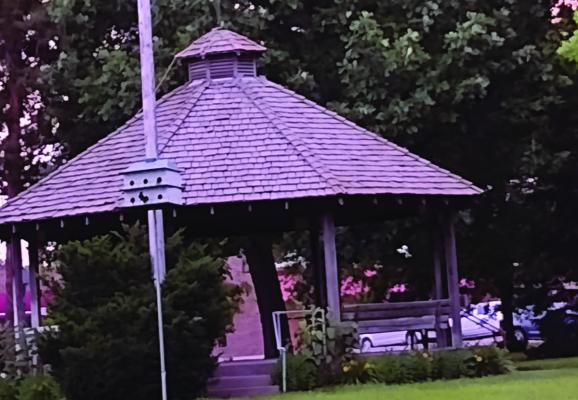 Martin Houses Have Increased Purple Martin Population in Beaver City