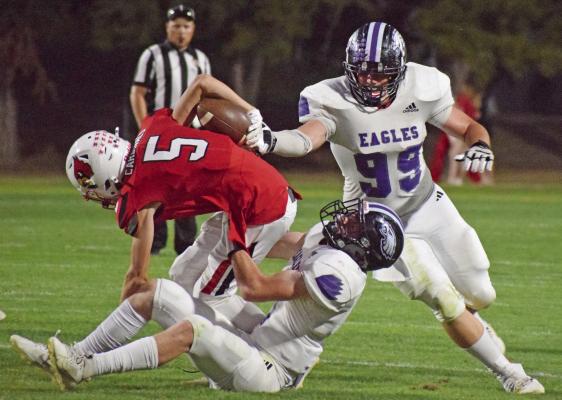Eagles fall in final contest of season