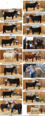 2022 Gosper County Beef results