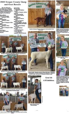 2022 Gosper County Sheep and Goat Results