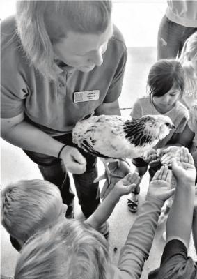 Hobby farmer, Ms. Dawn Hetrick holds a chicken for preschoolers to investigate. Photo Credit: Elena Stout