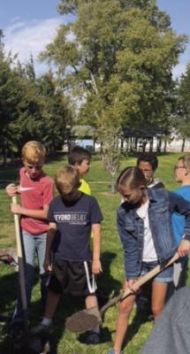 Beautify Eustis-Plant street trees