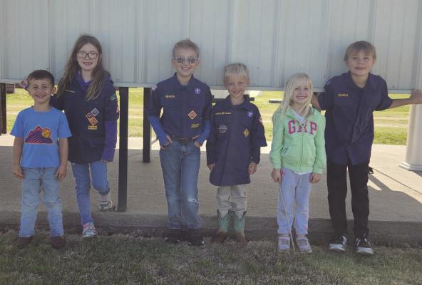 Cubscout Pack 236 help with flags
