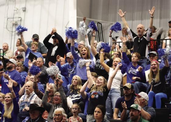 Area teams qualify eleven for Boys State Wrestling