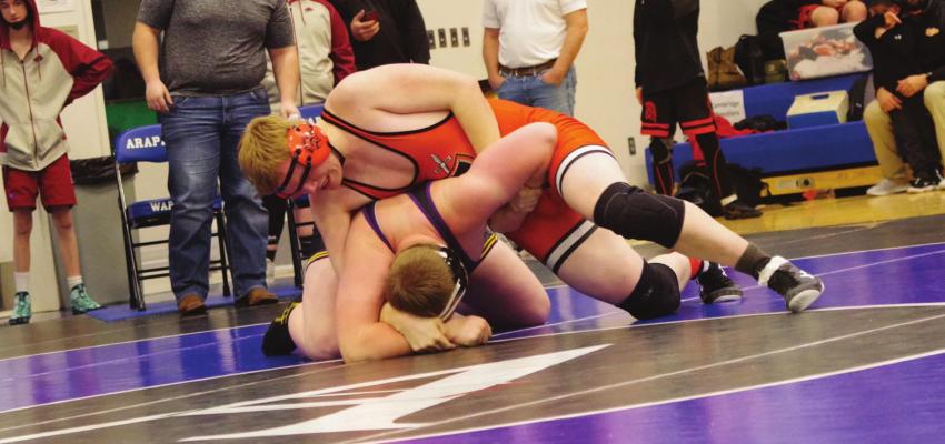 Cambridge sends nine to district tournament