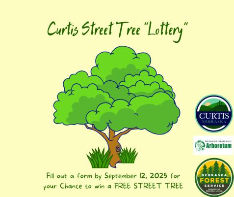 Curtis Street Tree “Lottery”