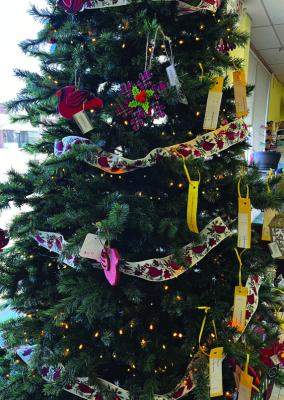 Giving Trees Up in Oxford