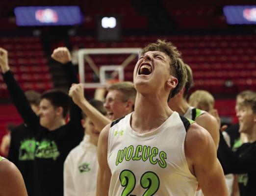 Senior Jeremiah Ingison and his teammates in the background celebrate their win over SEM in the state semi-finals to advance to a state championship game.