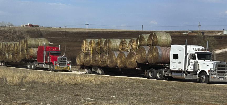 Eleven semi-trucks and two pick-ups made up the convoy headed to Texas.