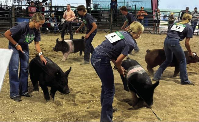 4-Hers bring the heat at Gosper County Fair
