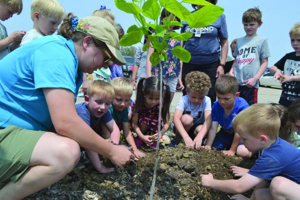 Nebraska Forest Service announces Tree City program communities