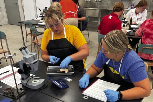 Rhiley Fiene dissects a specimen in the lab.