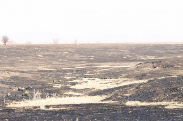 Soil Protection Following a Wildfire