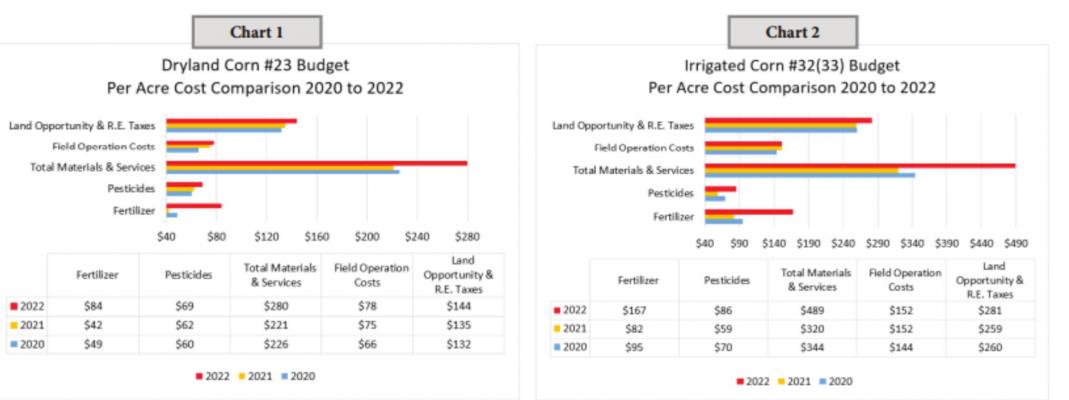 Individual Budget Strategies Key to Profitability for Area Corn Farmers